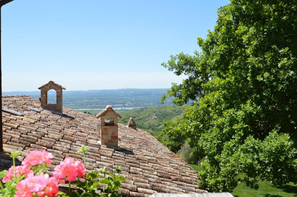 Luxury Villa Colle Dell'Asinello ,Proprietari ,Villa In Esclusiva Near Orvieto Guardea Exterior photo