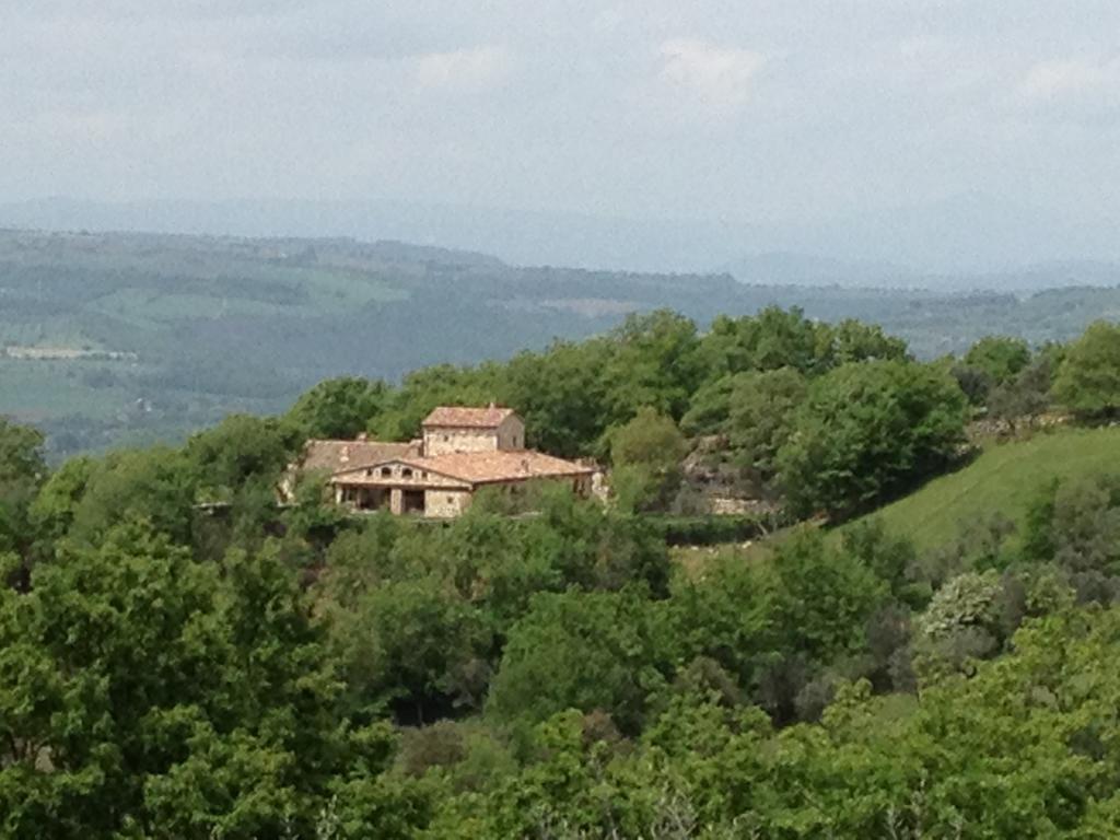 Luxury Villa Colle Dell'Asinello ,Proprietari ,Villa In Esclusiva Near Orvieto Guardea Room photo