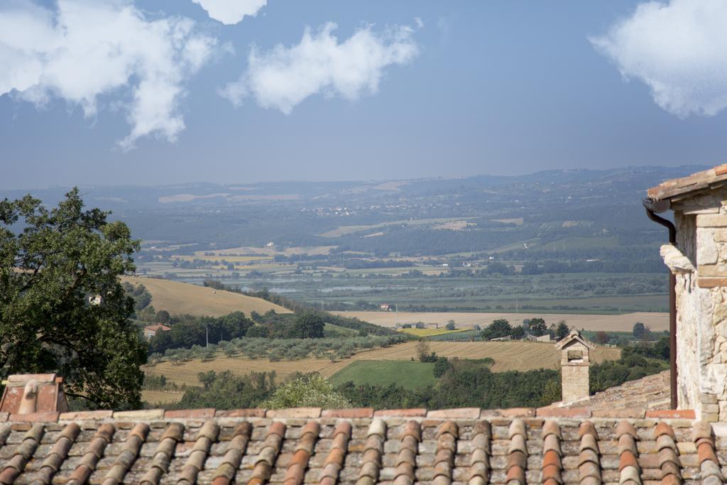 Luxury Villa Colle Dell'Asinello ,Proprietari ,Villa In Esclusiva Near Orvieto Guardea Exterior photo